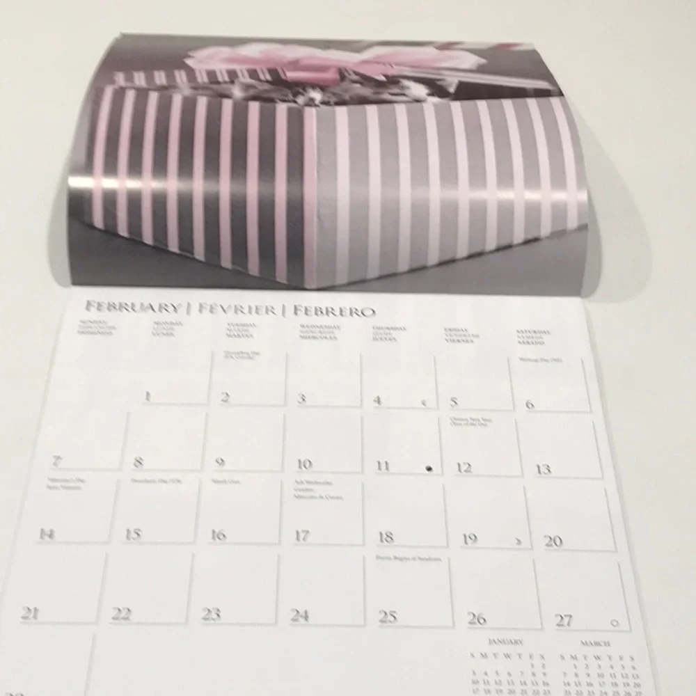 ☀️☀️New Classic Cats 2021 Calendar